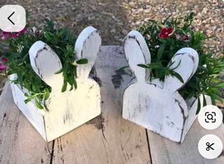 Bunny Toolbox - Kids Class 3/28/25