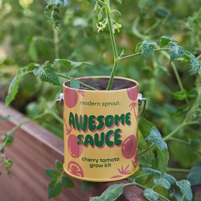 Complimentary Color Grow Kits- Awesome Sauce