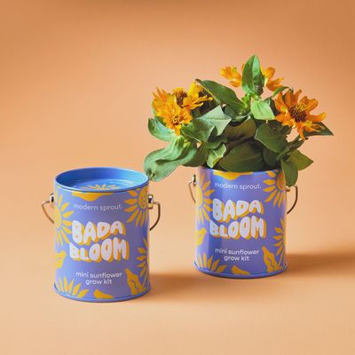 Complimentary Color Kits-Bada Bloom