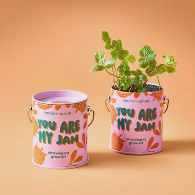 Complimentary Color Grow Kits-You are My Jam