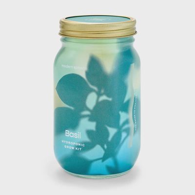 Herb Garden Jar-Basil