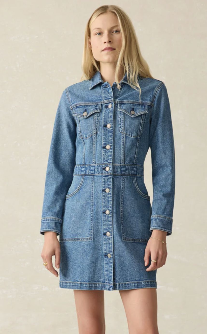 Michelle Denim Dress
