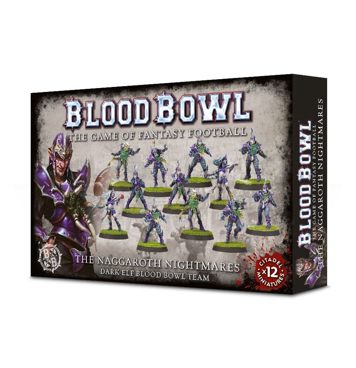 Dark Elf Team: Naggaroth Nightmares