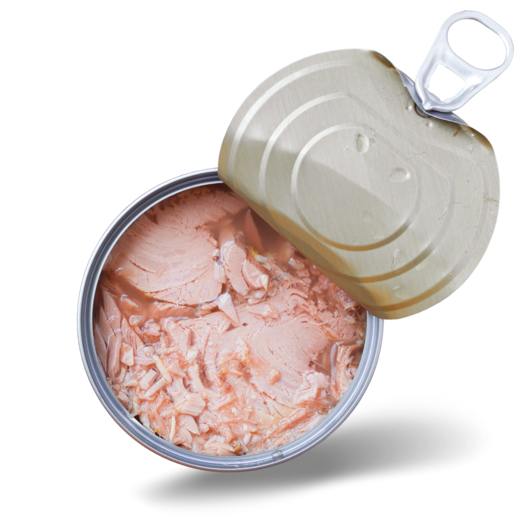 Wild Albacore Tuna Wild Albacore Tuna