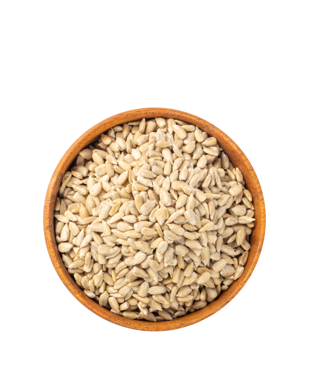 Sun Flower Seeds Sun Flower Seeds