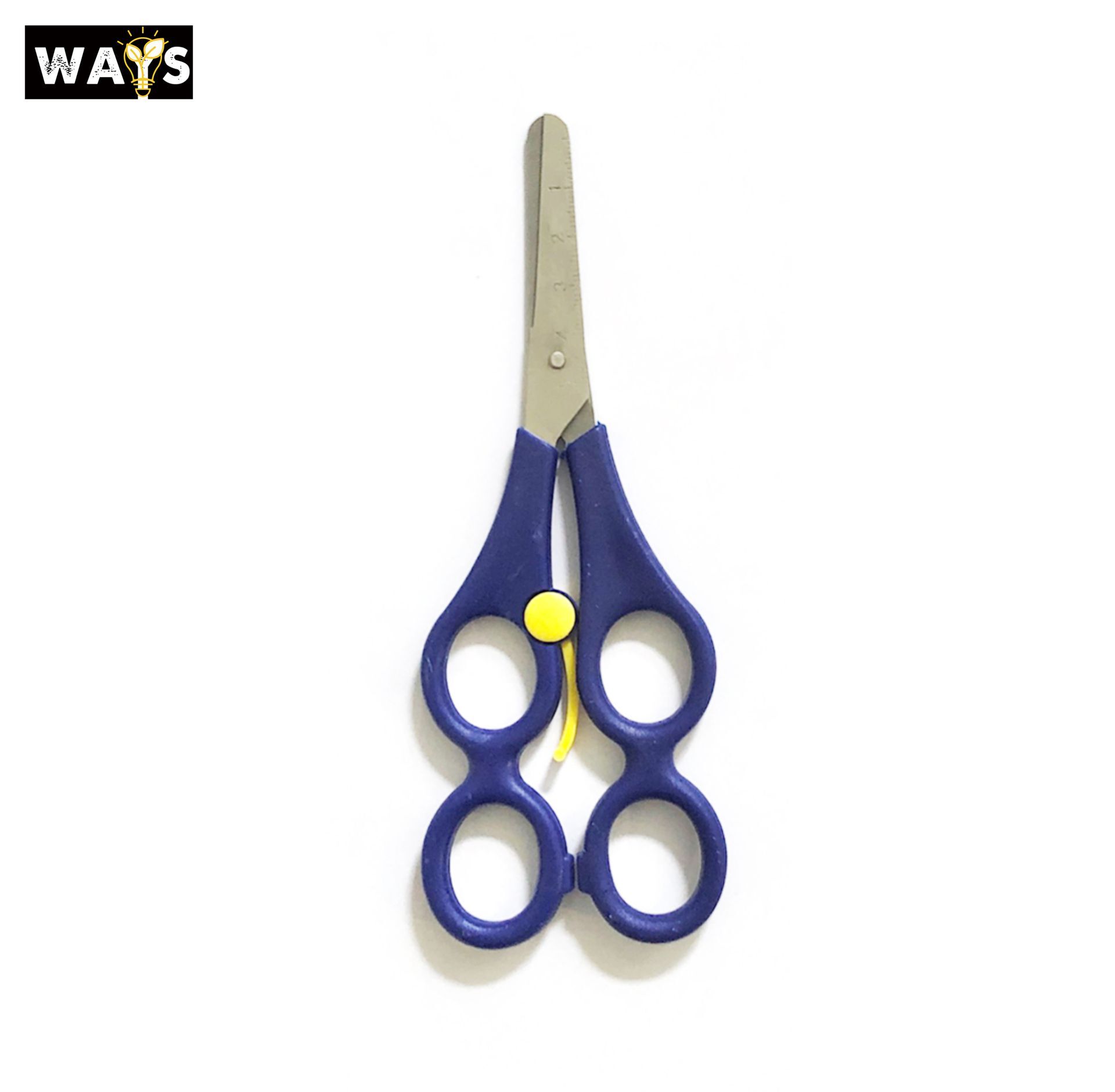 Dual-control Scissors