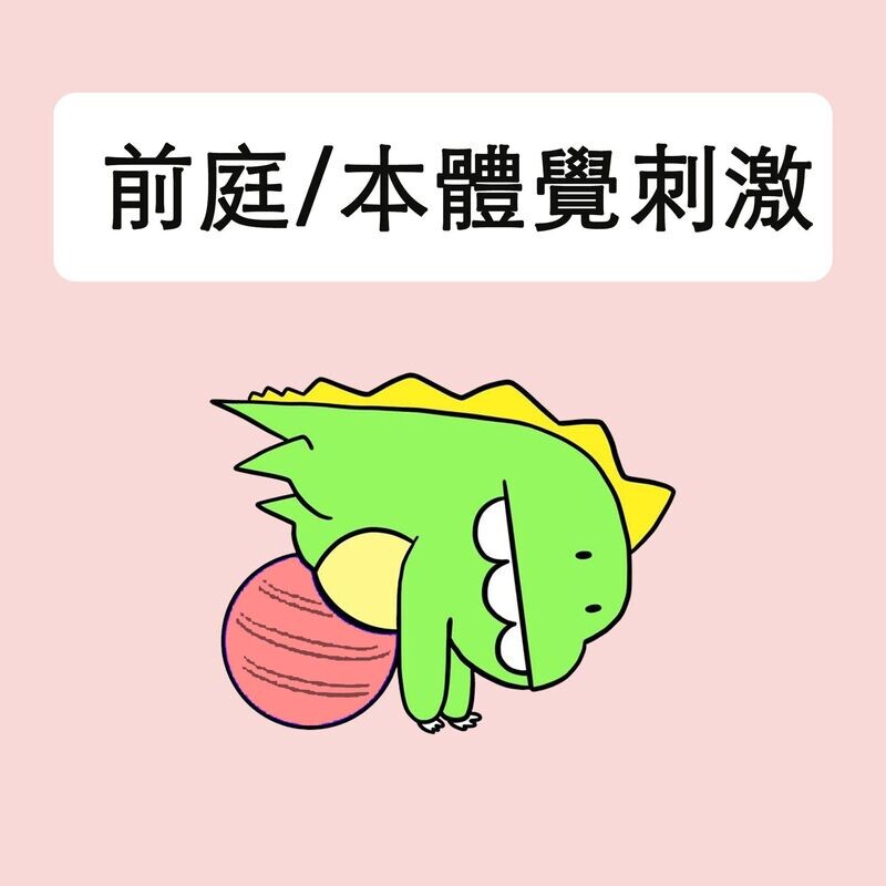 前庭本體覺刺激/大肌肉訓練