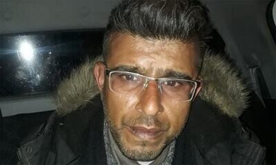 Zeb &quot;IMPORTER&quot; Ali