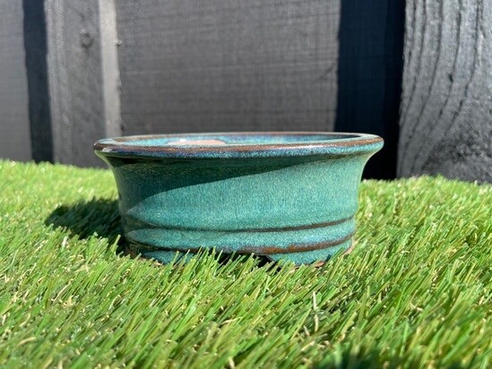 BONSAI GLAZED, Size: 4 inch