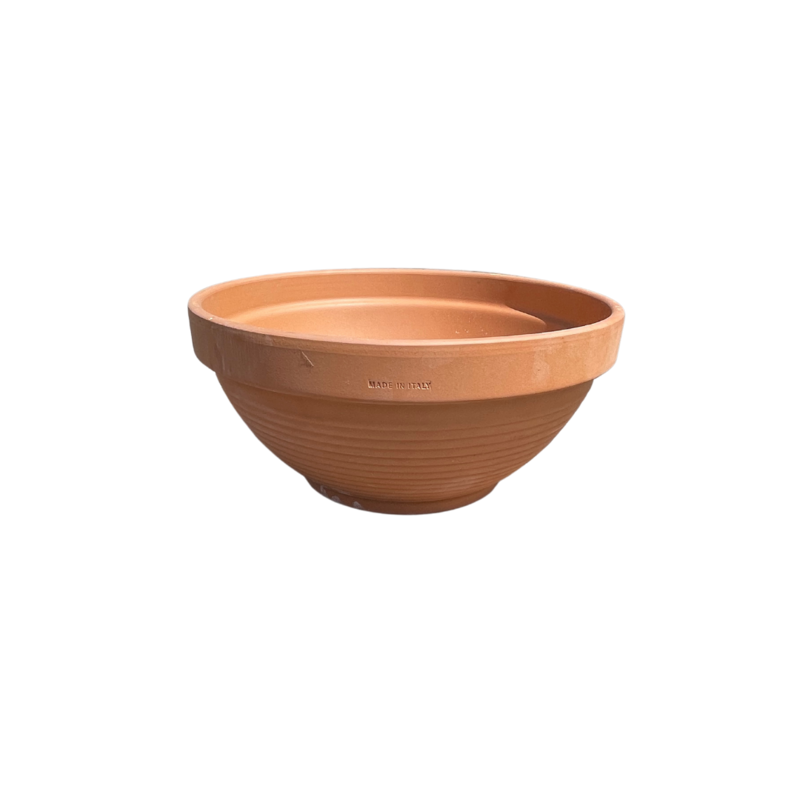 LOW BOWL