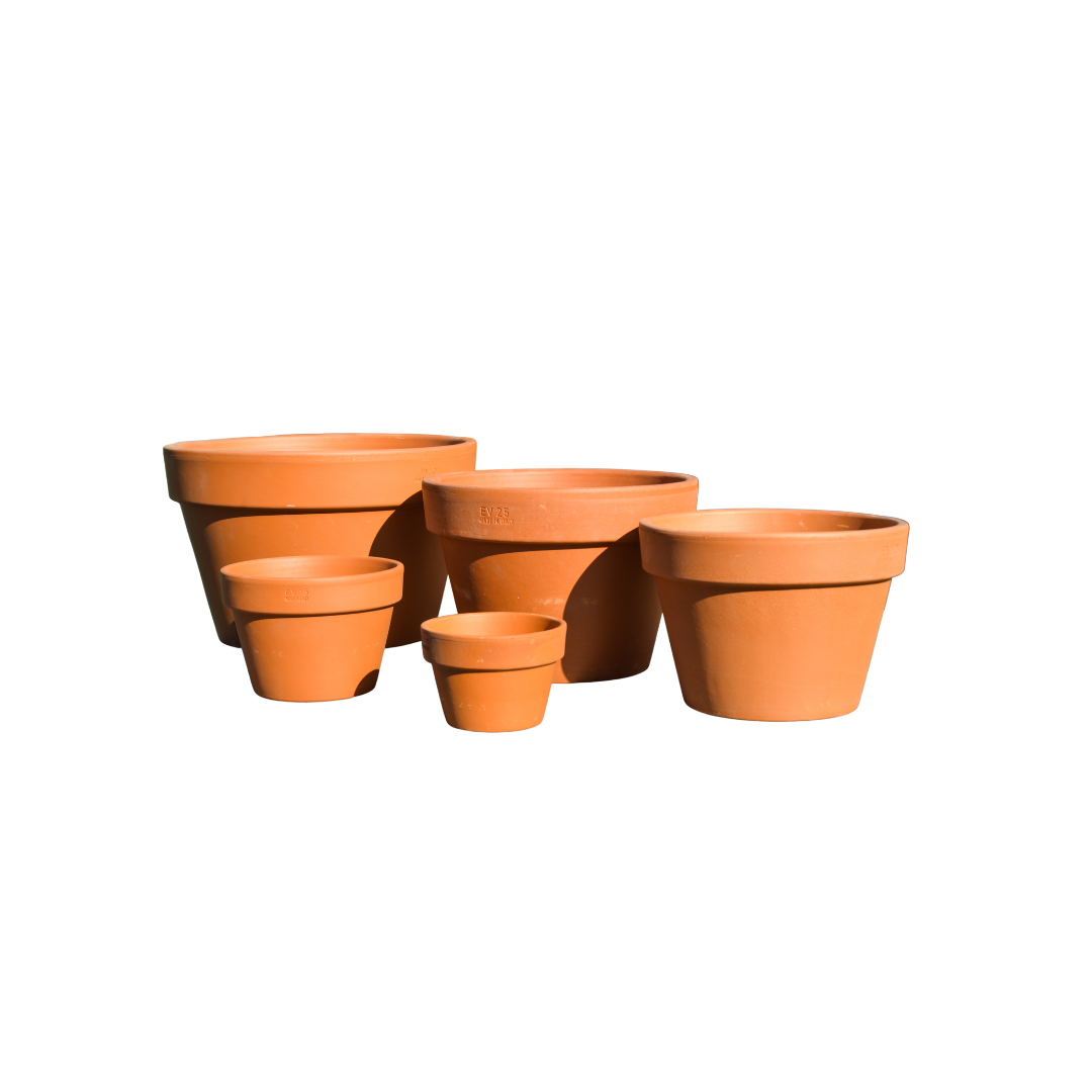 MEZZI AZALEA POT