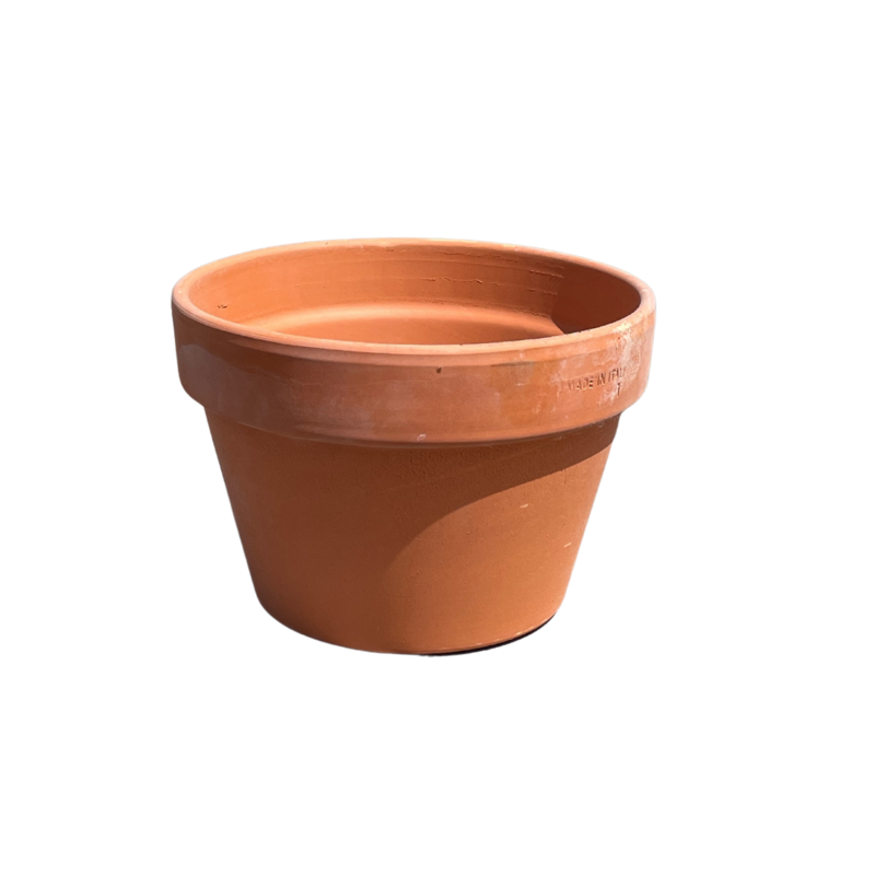 MEZZI AZALEA POT