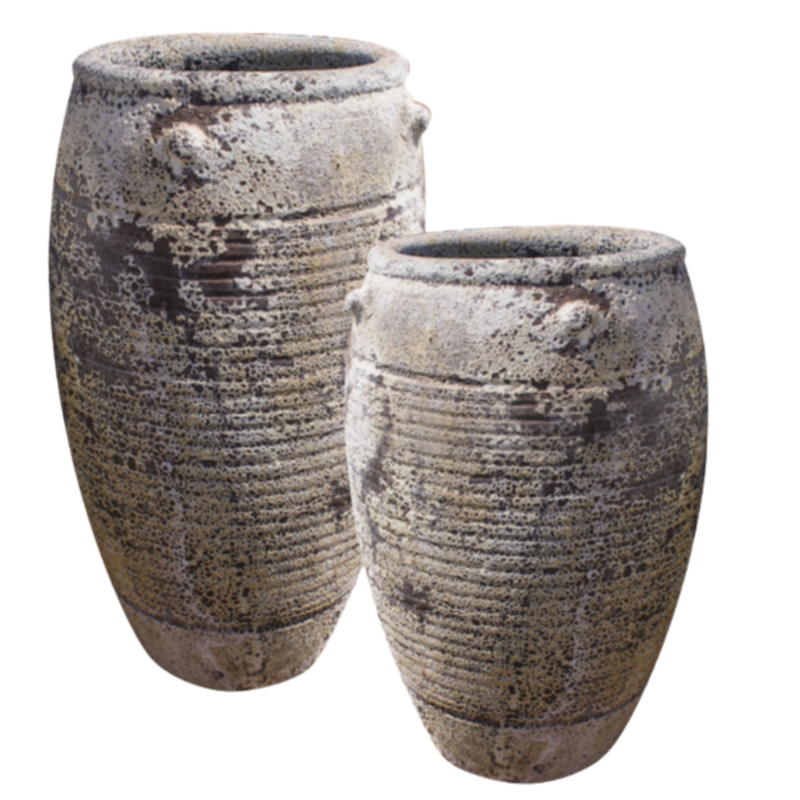 BONGO JAR