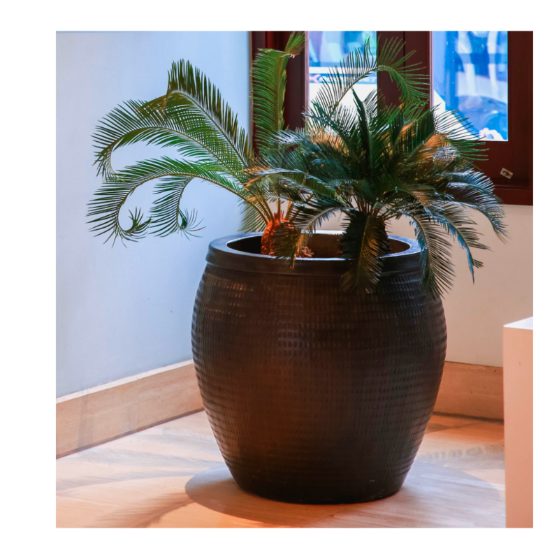 COLLAR PLANTER