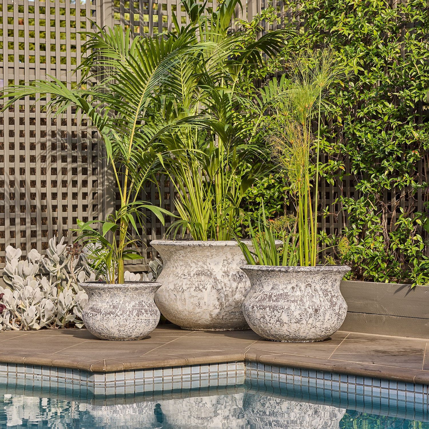 Triton Belly Pots Atlantic White