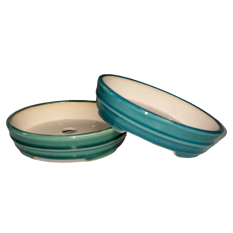 SMALL GLAZED/UNGLAZED BONSAI