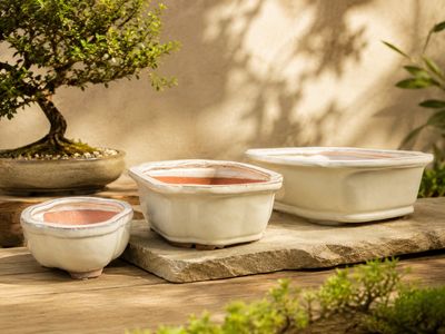 Bonsai Pots