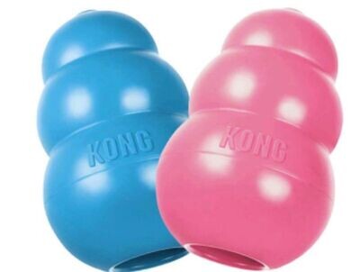 Kong especial cachorro mediano
