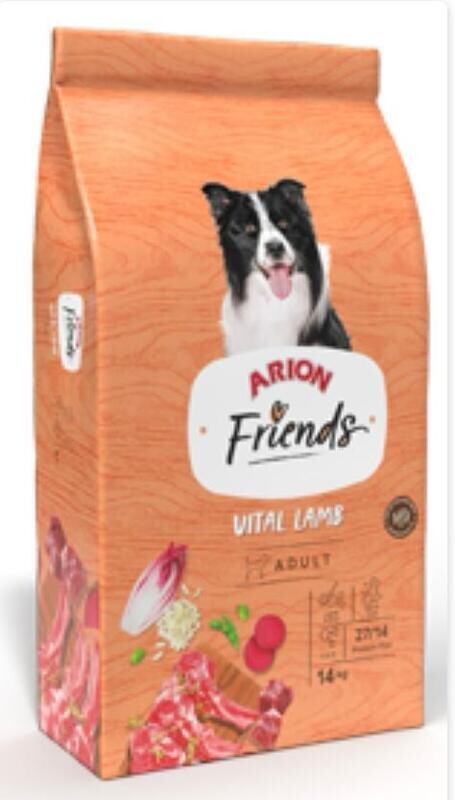 Arion friends vital lamb adulto 14kg