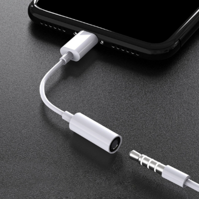 Xenon Lightning Converter