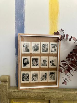 Primer año Primer año