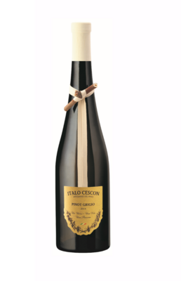 Pinot Grigio DOC Veneto 2023