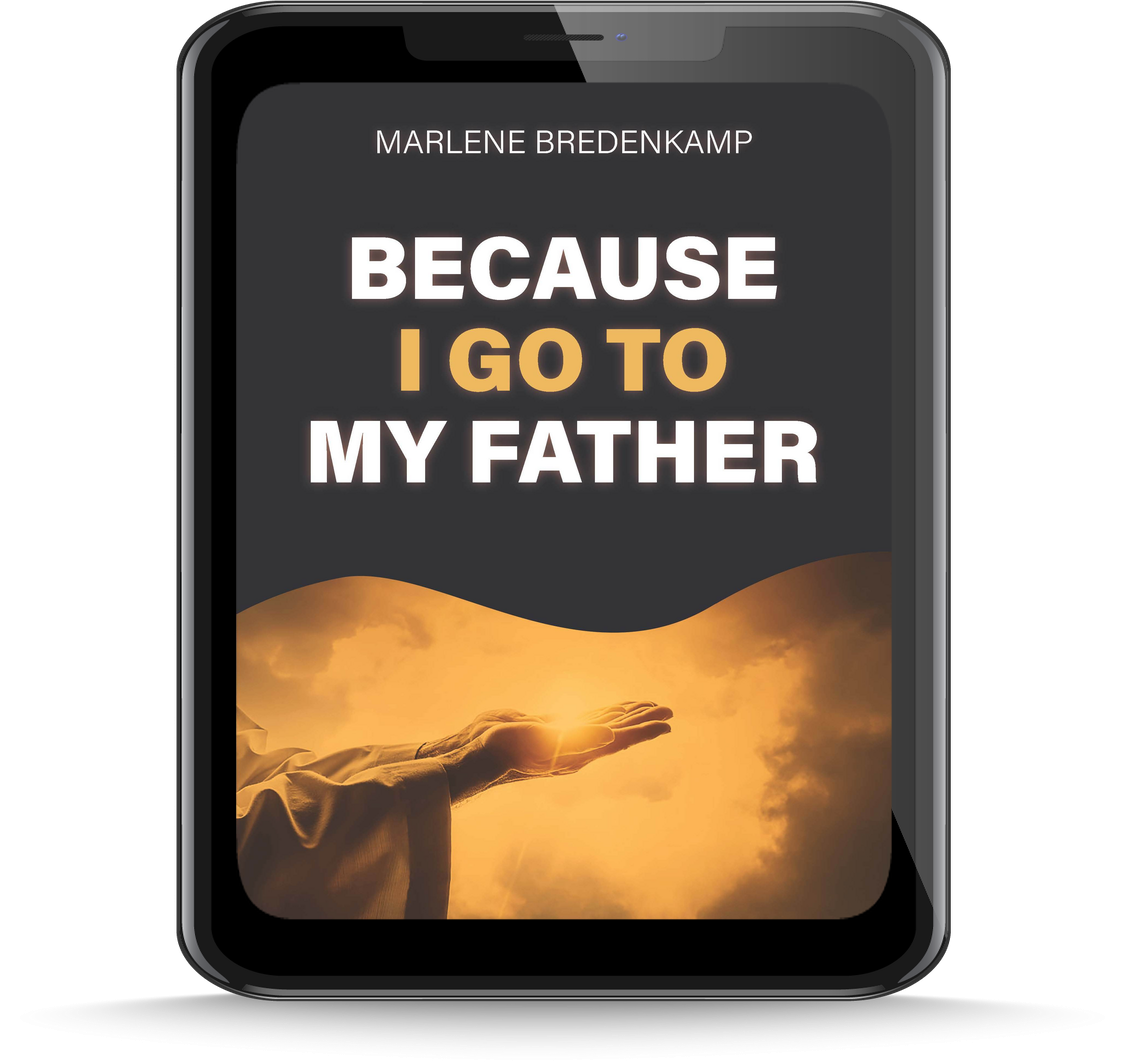 Because I Go to My Father  - E-Book