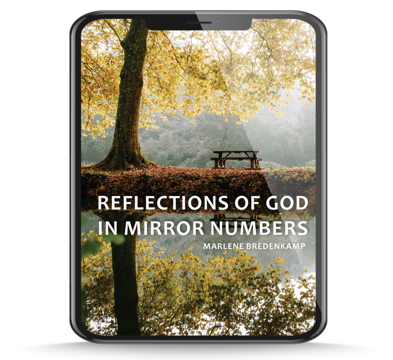 Reflections of God in Mirror Numbers  - E-Book