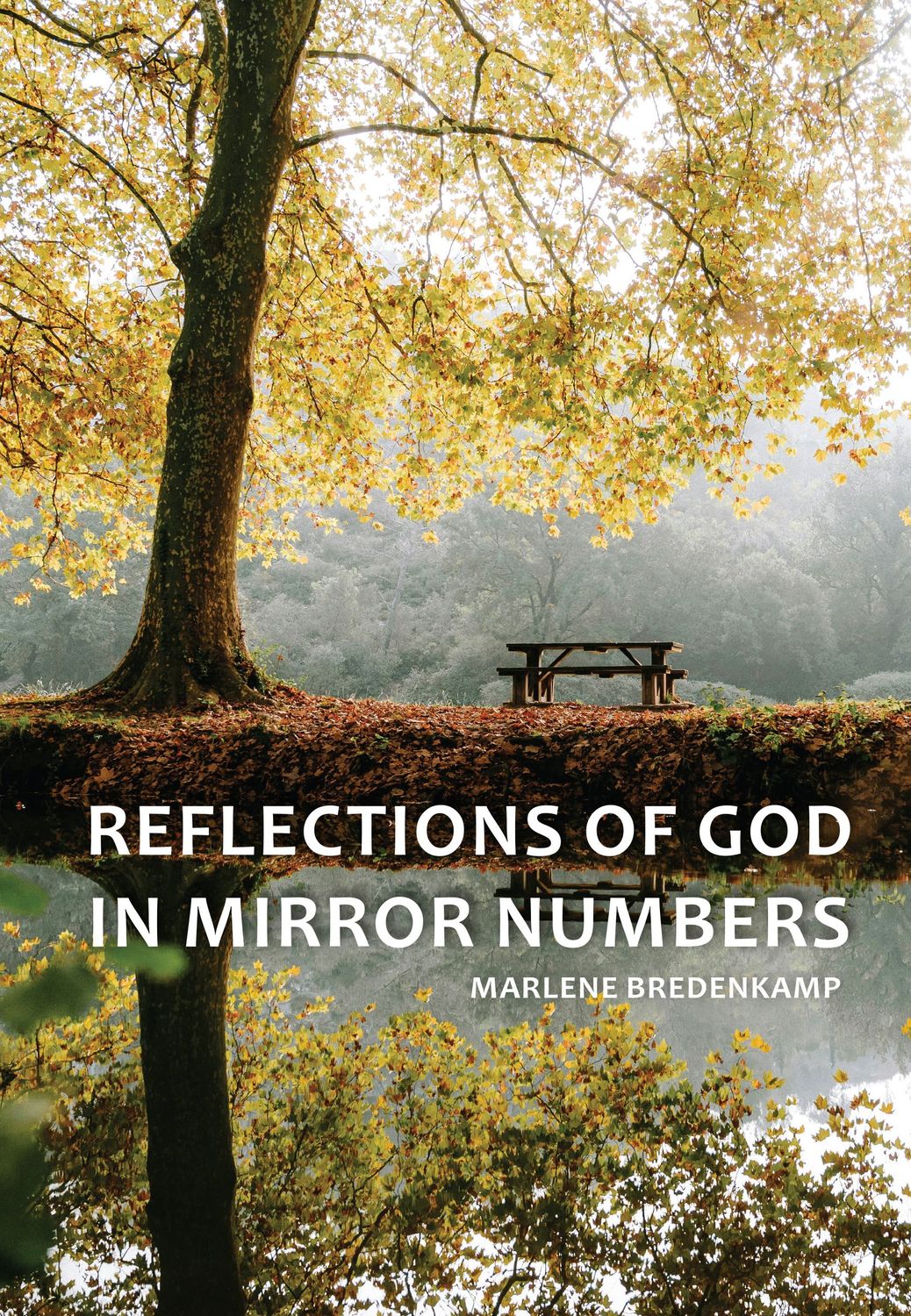 Reflections of God in Mirror Numbers