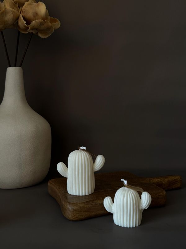 Pack Vela Cactus