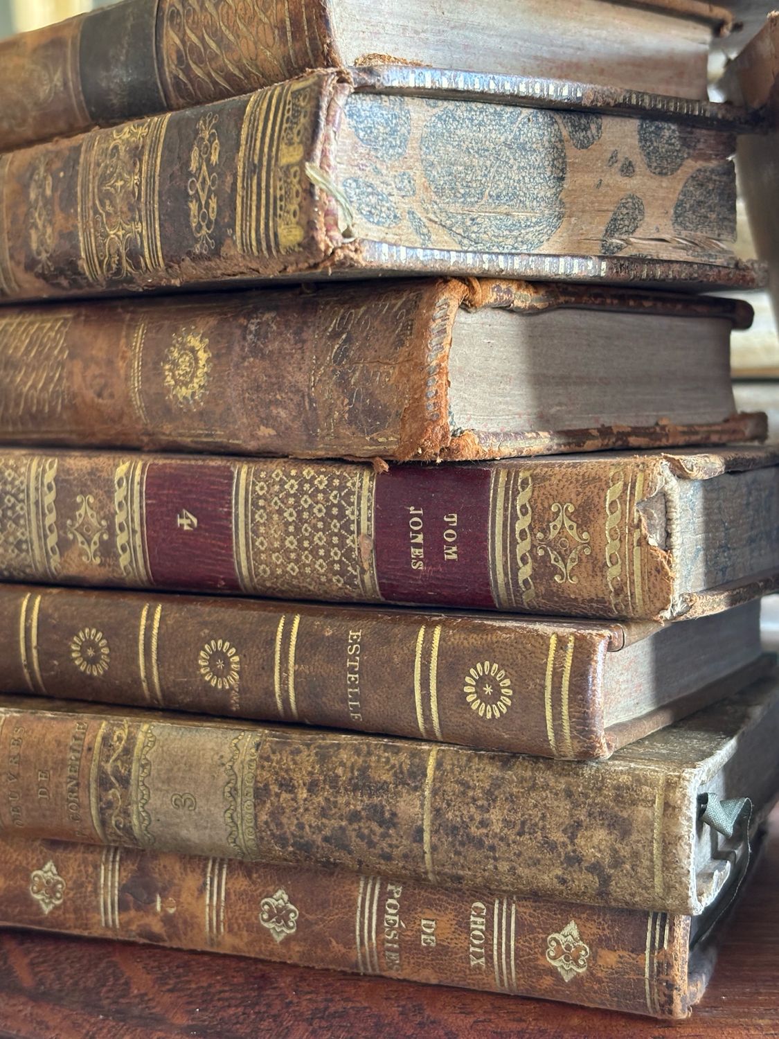Tiny French Leather Books (3)