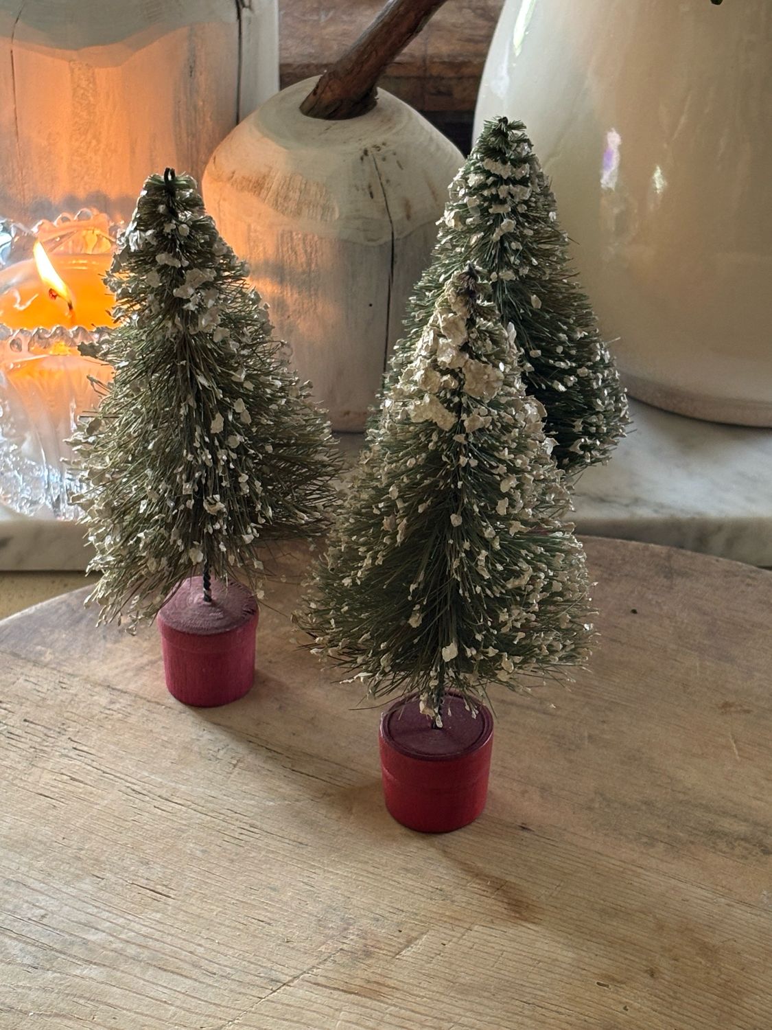 Three Bottle Brush Trees/ Resv’d For Barclay