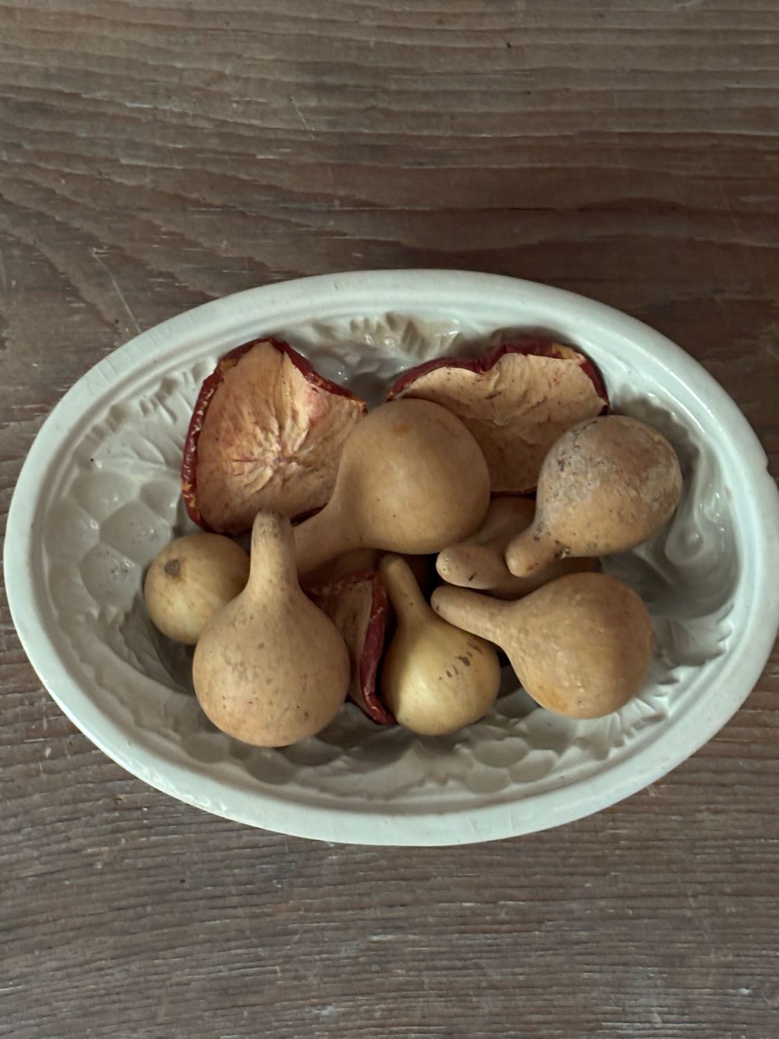 8 Tennessee Spinners + Dried Apples