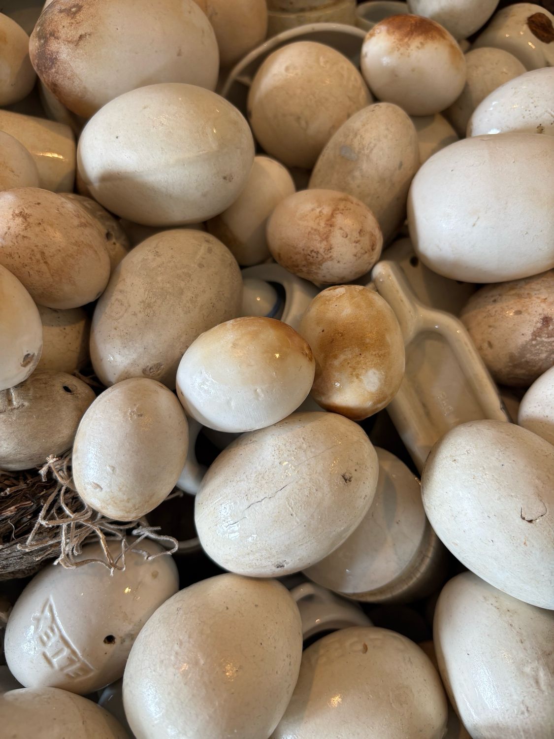 Three Broody Eggs