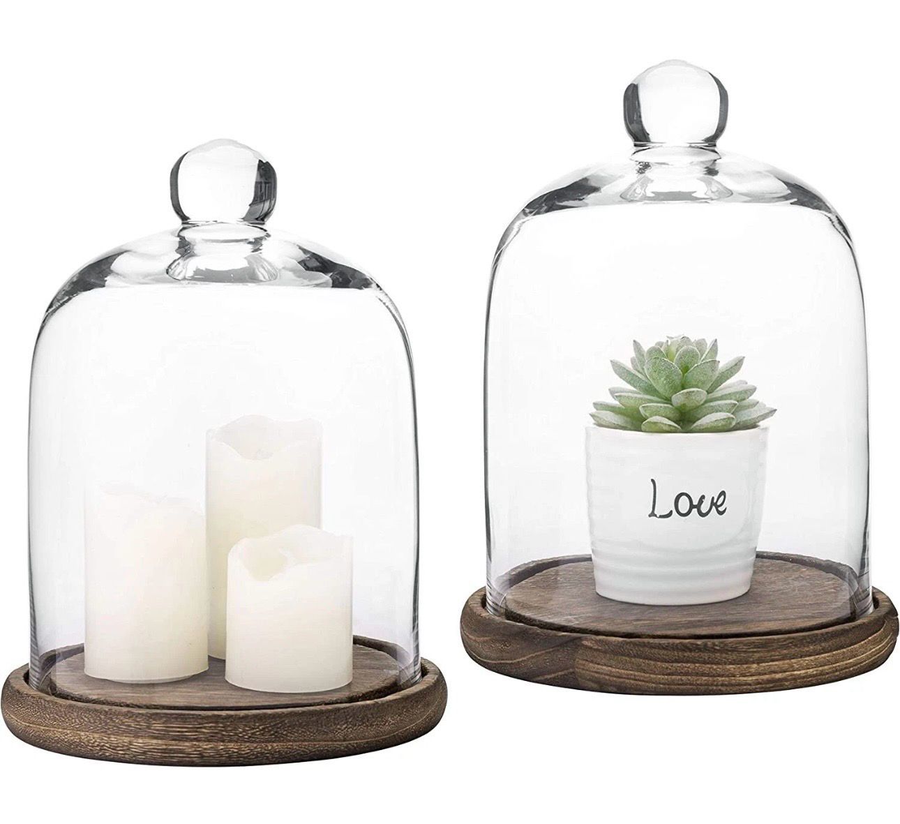 Resv’d For SP/Glass Cloche Dome/2