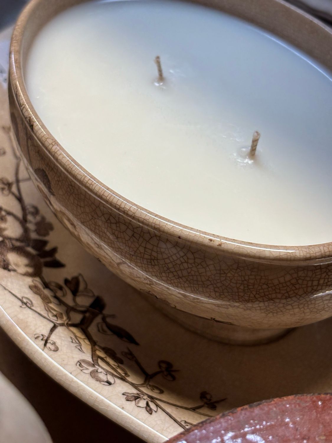 Resv’d For LMLG/Soupier /Herbarium