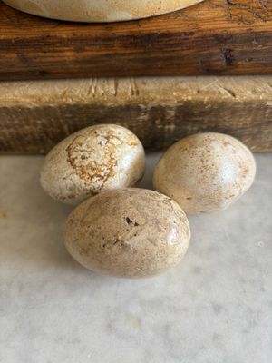 Resv’d For KM/Three Broody Eggs