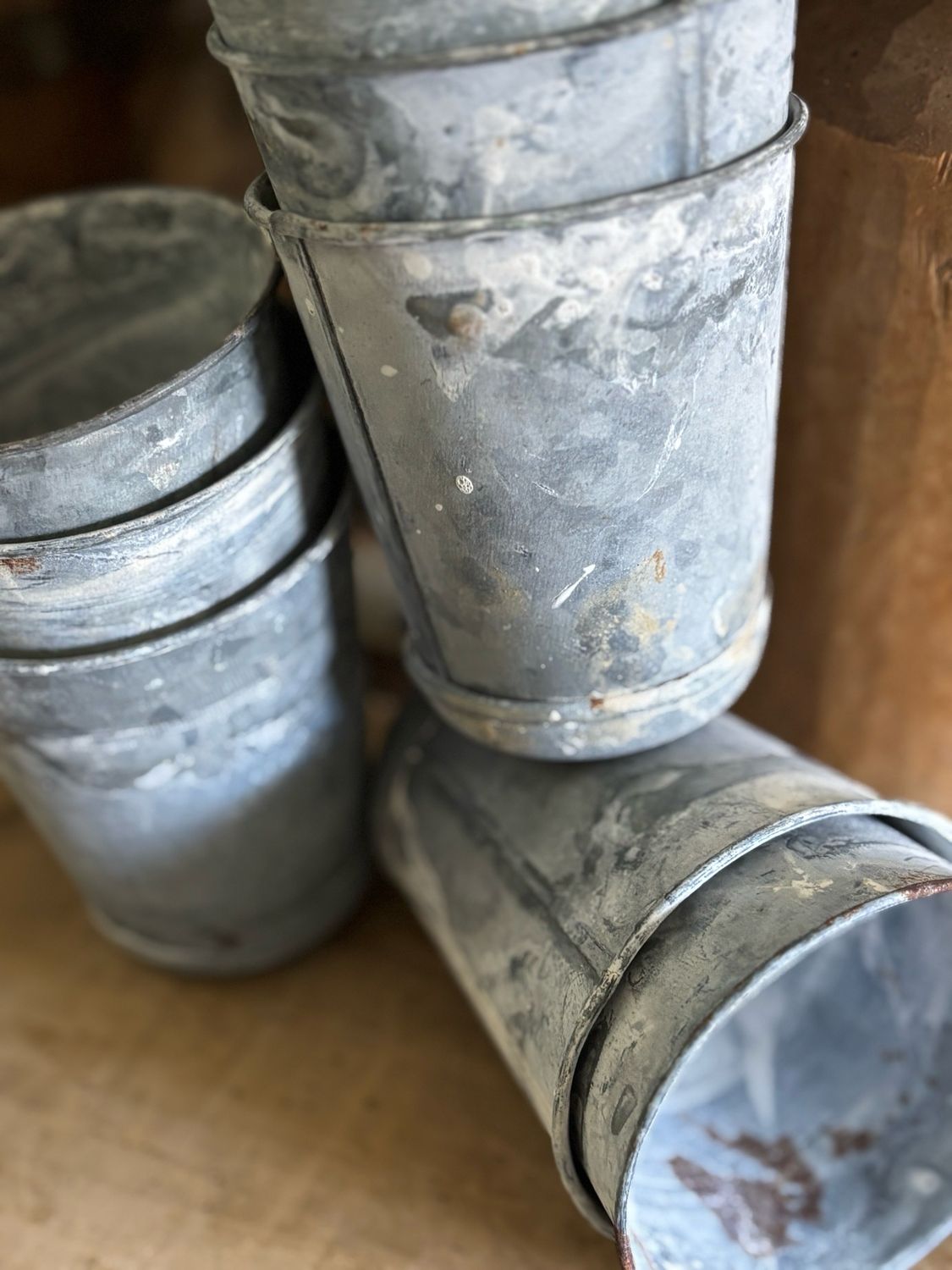 Resv’d For LH/Four Seedling Tins