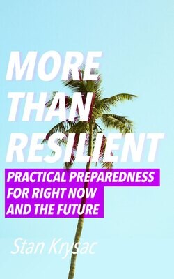 More Than Resilient Ebook