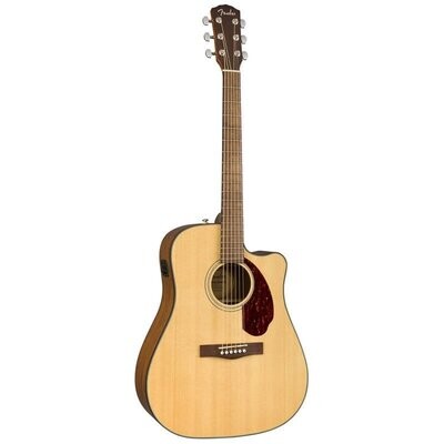 Semi Acoustic Guitars