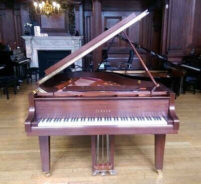 Yamaha C2X Grand Piano, Satin Walnut - FREE DELIVERY