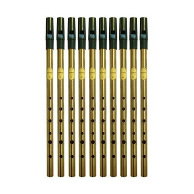 Tin Whistle Feadog Brass D Whistles, Green Top - BOX OF 10