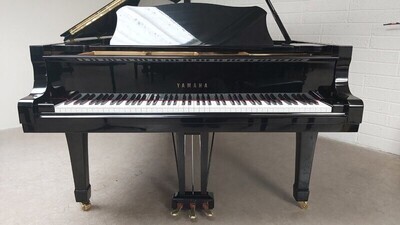Yamaha