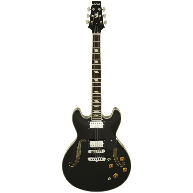 Aria TA Classic Hollow Body Electric Guitar, Black