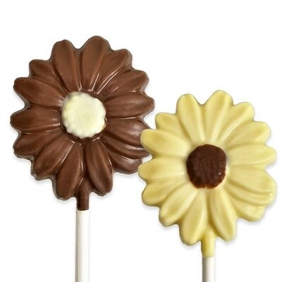 Milk Chocolate Daisy Lolipop