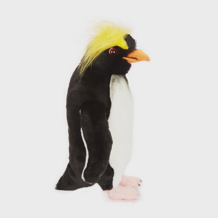 King Penguin