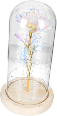 Eternal White Rose Globe