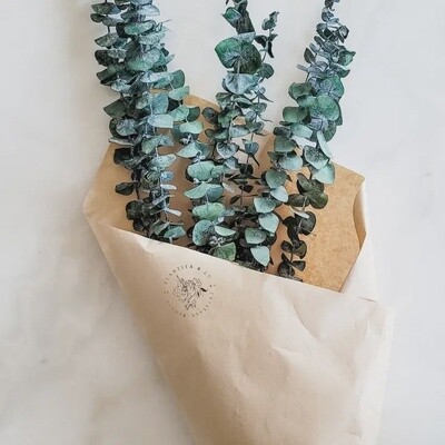 Dried Eucalyptus Bundle