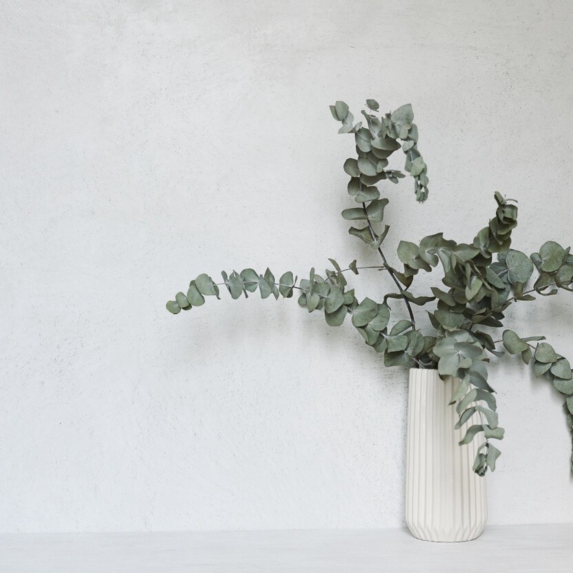 Dried Eucalyptus Bundle