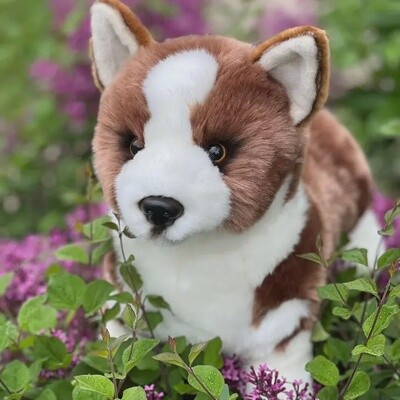 13" Corgi Stuffed Animal